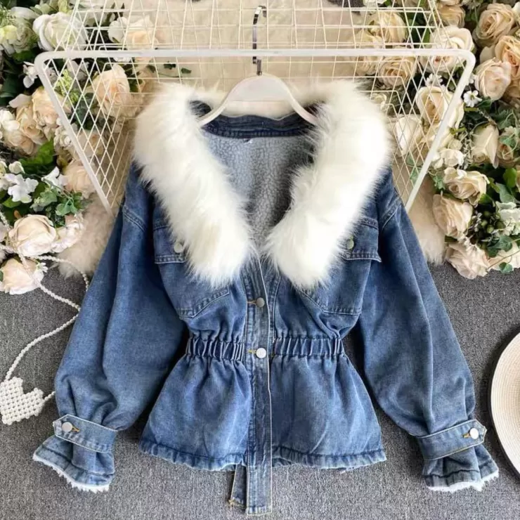 Winter Wear | Jackets And Coats^Alamode By Akanksha Brodel Denim Jacket