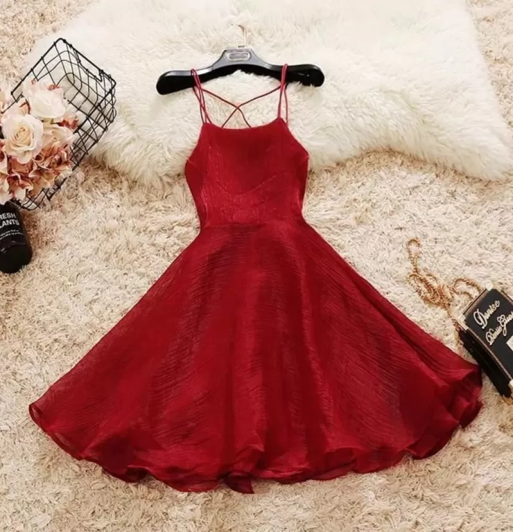 Mini Dresses | Skater Dresses^Alamode By Akanksha Organza Berry Dresses